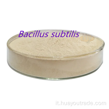 Bacillus Subtilis Insoluble Water 700CFU/G Feed Additive